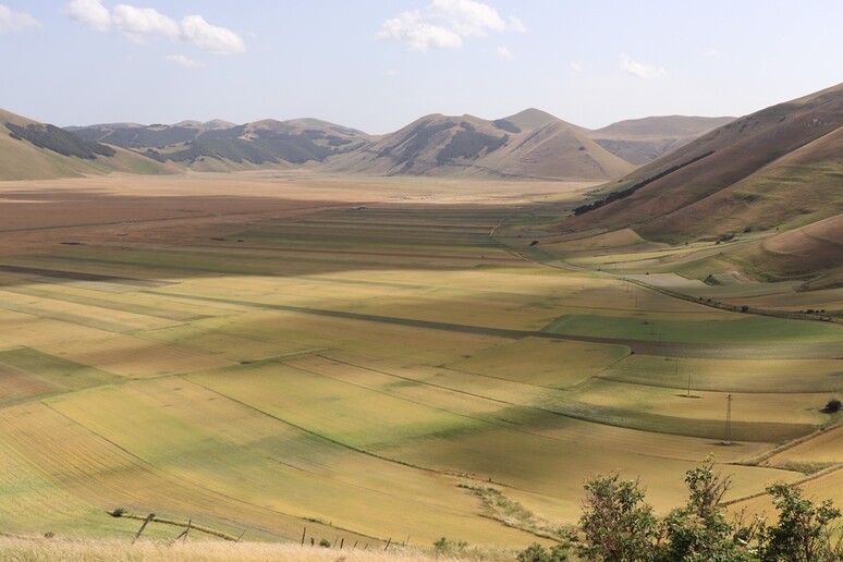 Fioritura 2019 a Castelluccio - RIPRODUZIONE RISERVATA