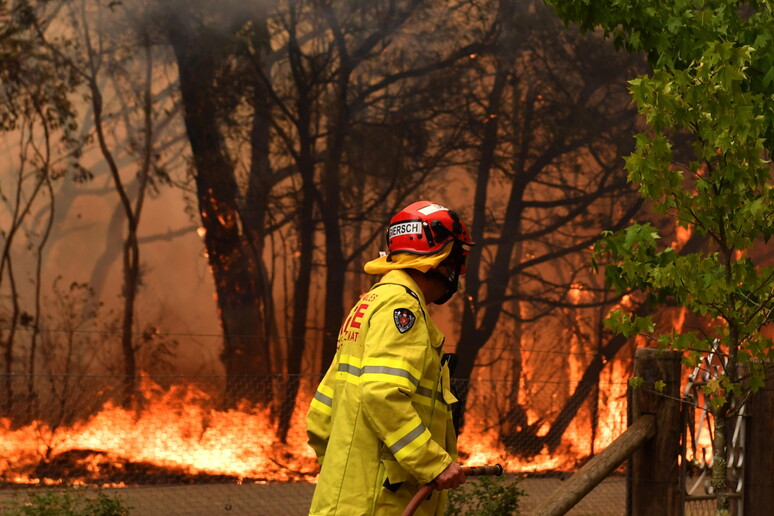 Incendi in Australia a dicembre e gennaio - RIPRODUZIONE RISERVATA