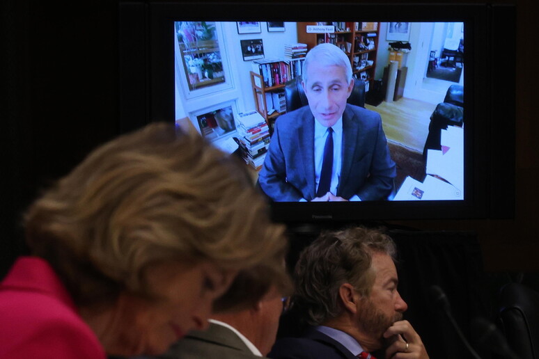 Anthony Fauci in videoconferenza con il Senato Usa - RIPRODUZIONE RISERVATA