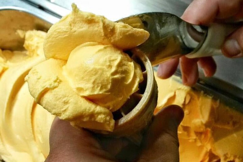 Gelati alla frutta Igp di tendenza nella bella stagione - RIPRODUZIONE RISERVATA