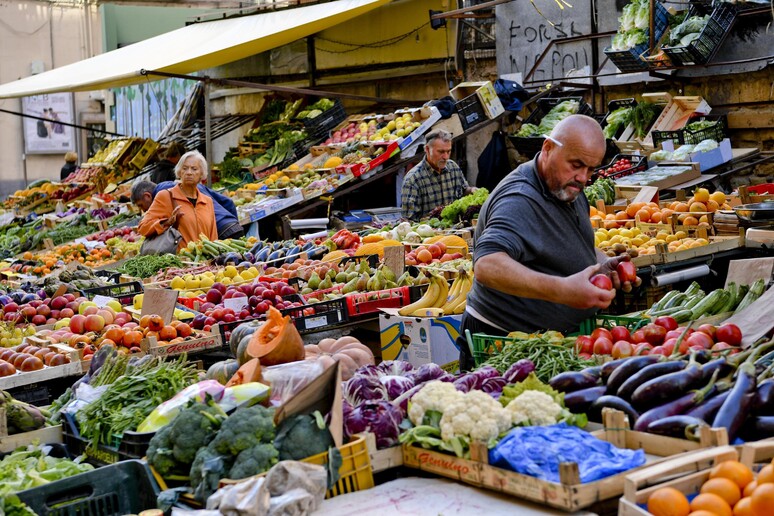 Foto di archivio - RIPRODUZIONE RISERVATA