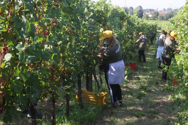 - RIPRODUZIONE RISERVATA