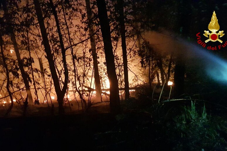 Incendio nel Ravennate - RIPRODUZIONE RISERVATA