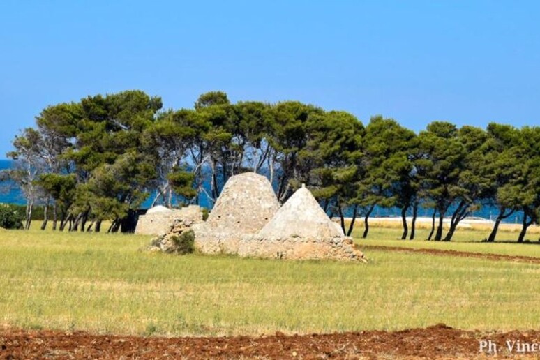 - RIPRODUZIONE RISERVATA