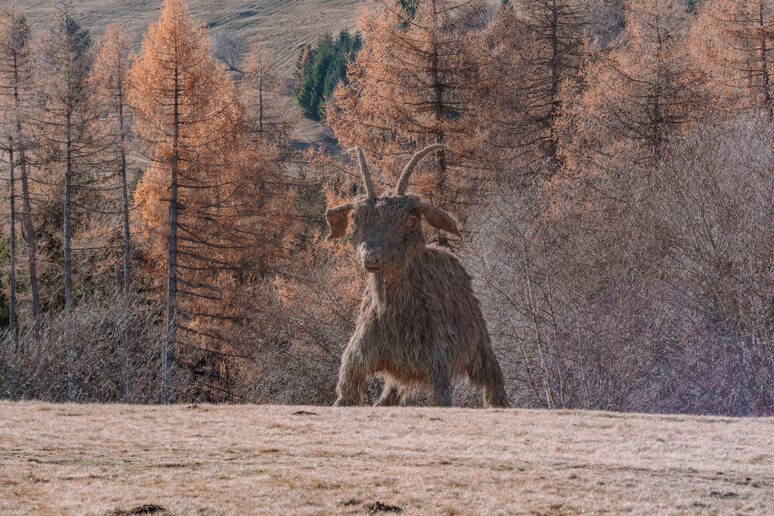 - RIPRODUZIONE RISERVATA