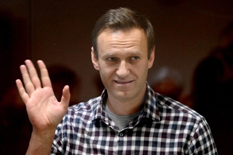 Alexei Navalny © ANSA/AFP