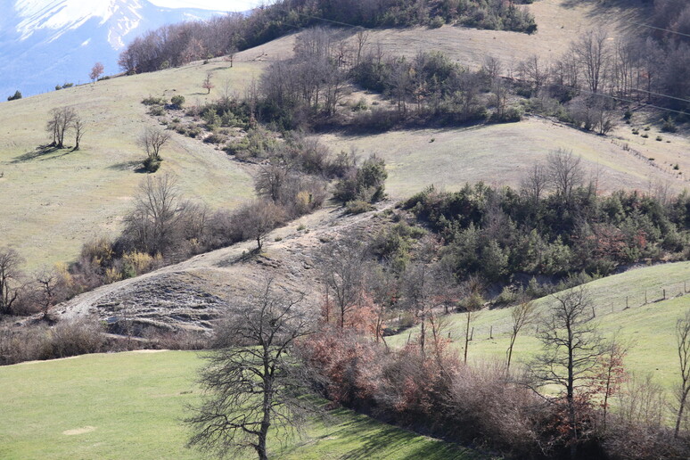 - RIPRODUZIONE RISERVATA