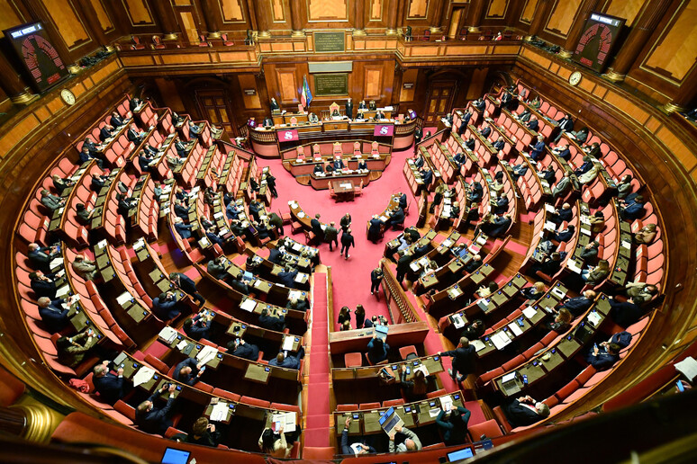 L 	'aula del Senato - RIPRODUZIONE RISERVATA