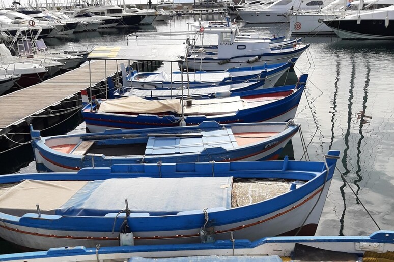 Pesca: Alleanza Coop, welfare e risorse per uscire da crisi - RIPRODUZIONE RISERVATA