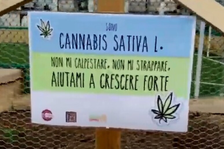 - RIPRODUZIONE RISERVATA