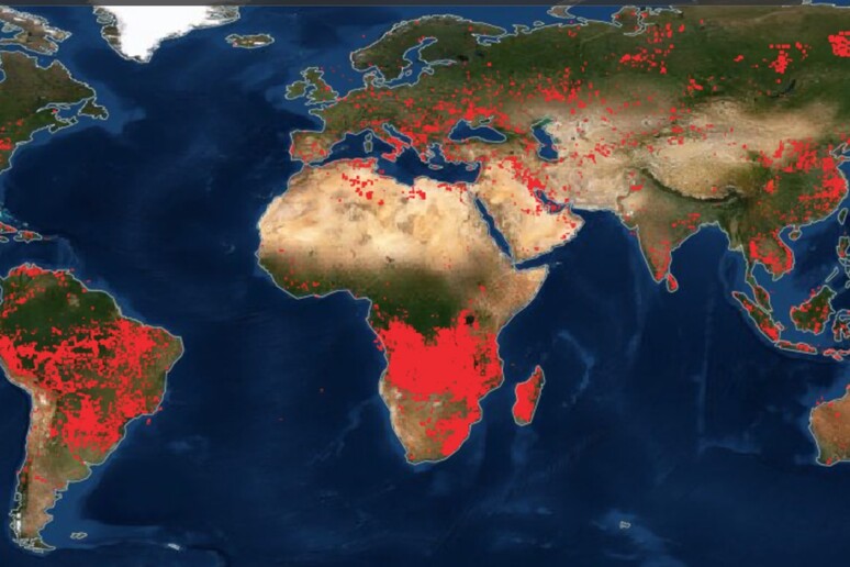 Nella mappa le aree in rosso corrispondono a quelle colpite dagli incendi (fonte: NASA/Fire Information for Resource Management System) - RIPRODUZIONE RISERVATA