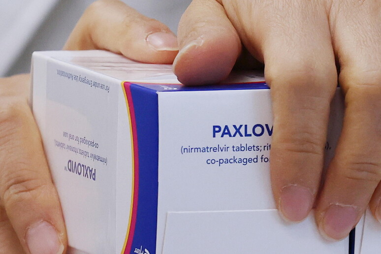 Confezioni di pillola Paxlovid della Pfizer © ANSA/EPA