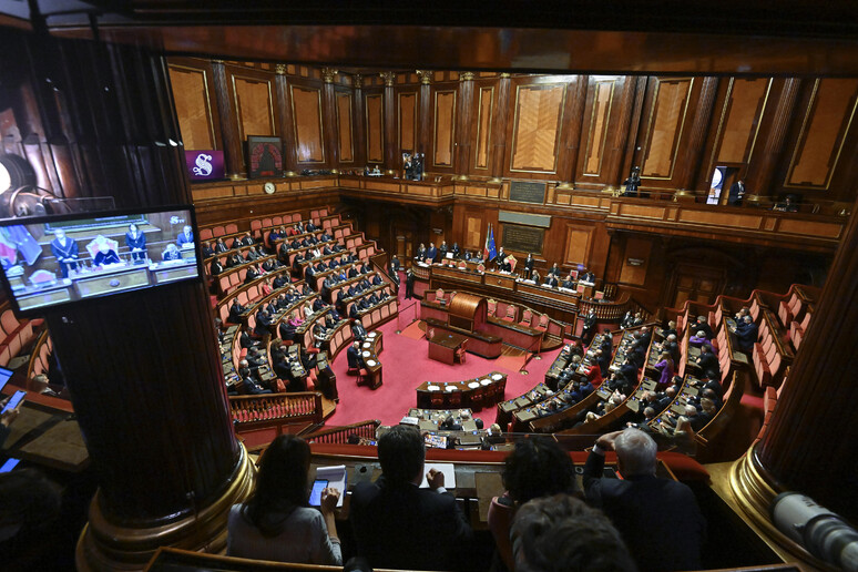 AULA SENATO RAZZI SI INTRATTIENE CON GLI ASSISTENTI PARLAMENTARI IMMAGINI  16-07-14 