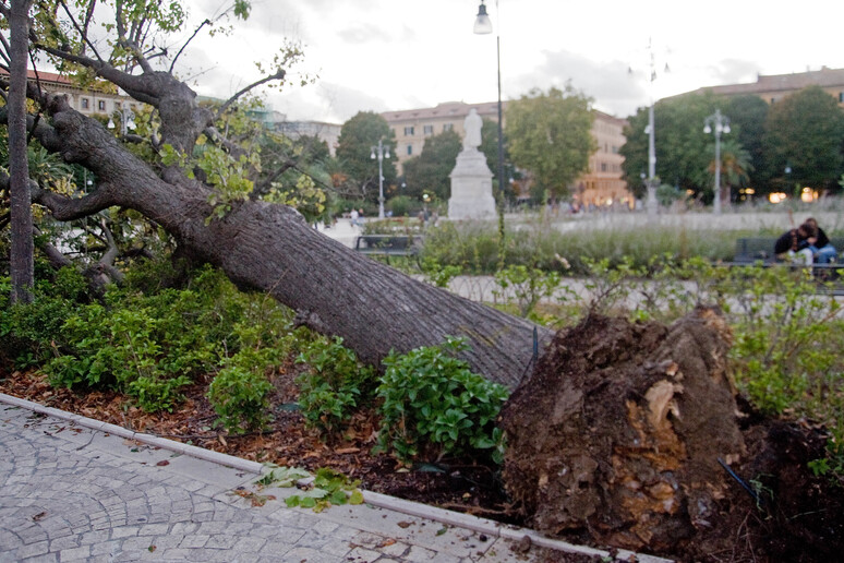 - RIPRODUZIONE RISERVATA