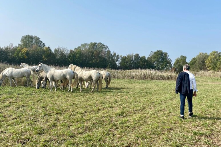 - RIPRODUZIONE RISERVATA