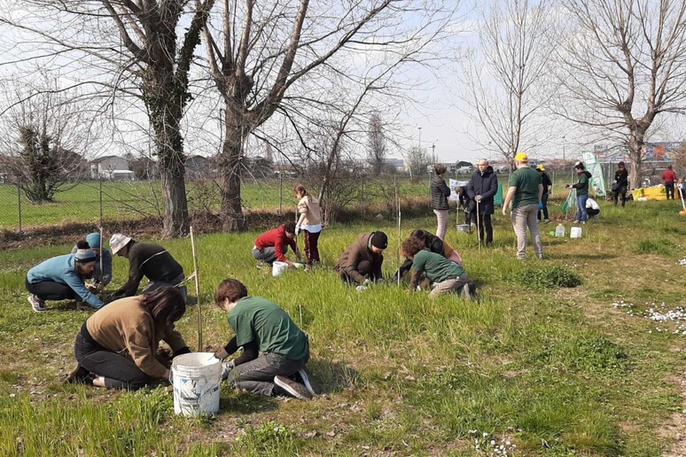 - RIPRODUZIONE RISERVATA