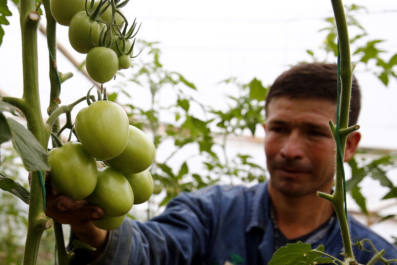 - RIPRODUZIONE RISERVATA