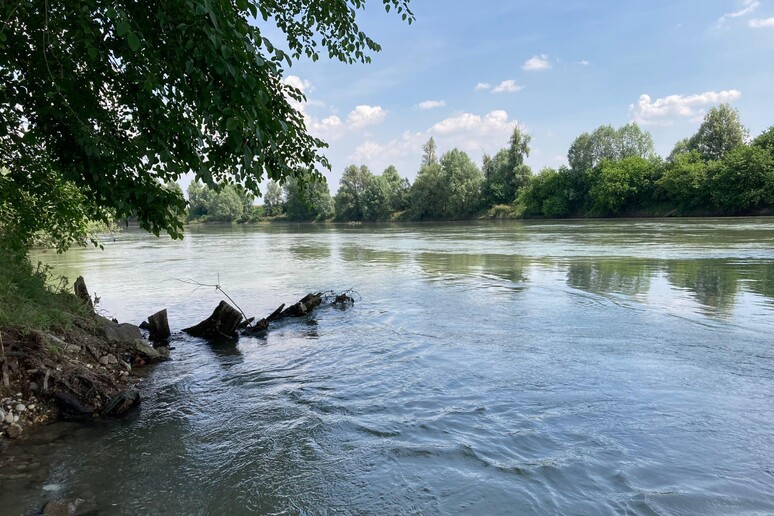 L 'Adige all 'altezza del ponte tra Masi e Badia Polesine - RIPRODUZIONE RISERVATA