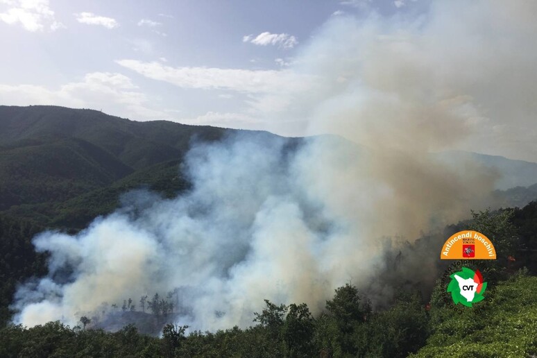 A fuoco boschi vicino Arezzo 2 elicotteri in azione Notizie