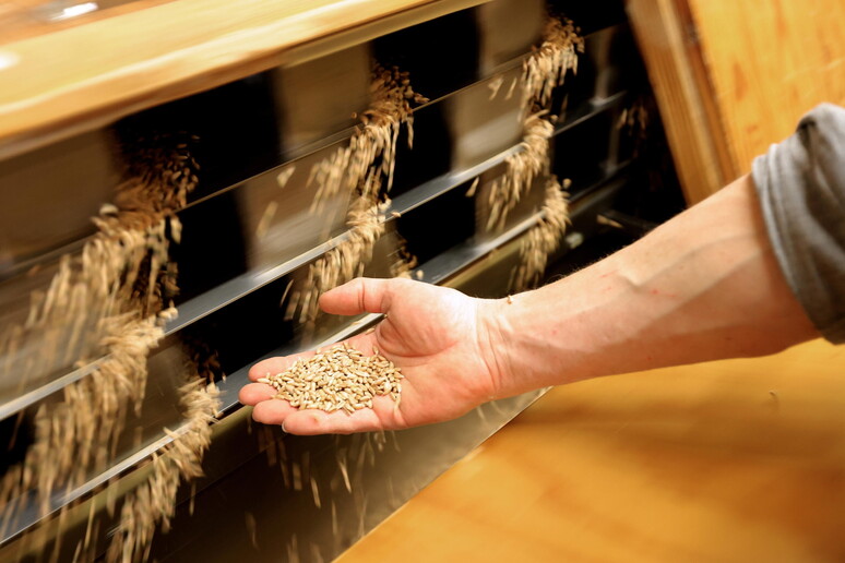 La crisi del grano © ANSA/EPA