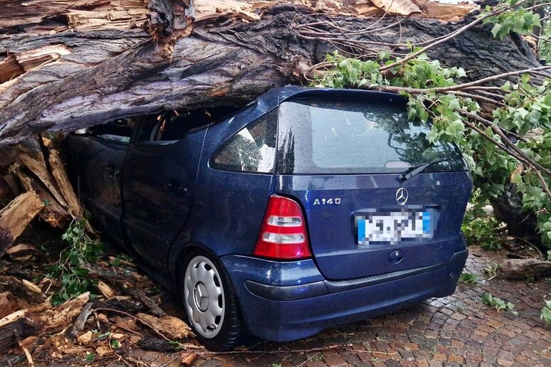 - RIPRODUZIONE RISERVATA