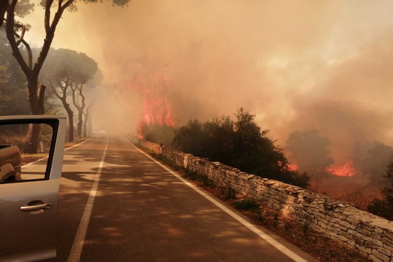 - RIPRODUZIONE RISERVATA