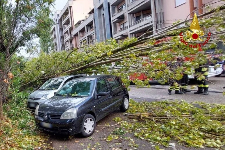 - RIPRODUZIONE RISERVATA