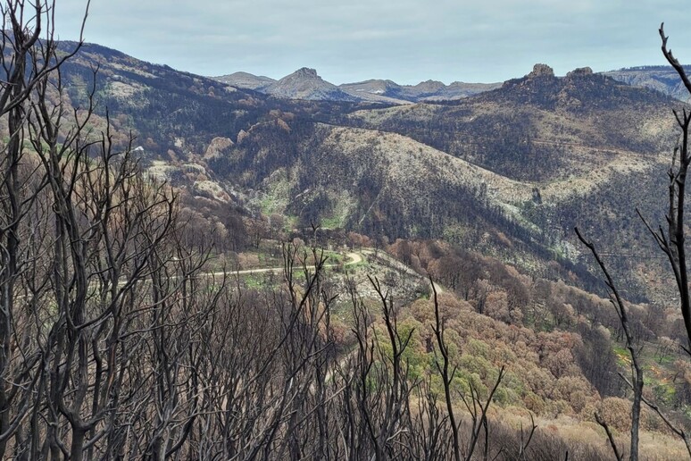 - RIPRODUZIONE RISERVATA