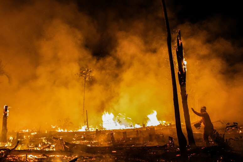 Incendi in Amazzonia - RIPRODUZIONE RISERVATA