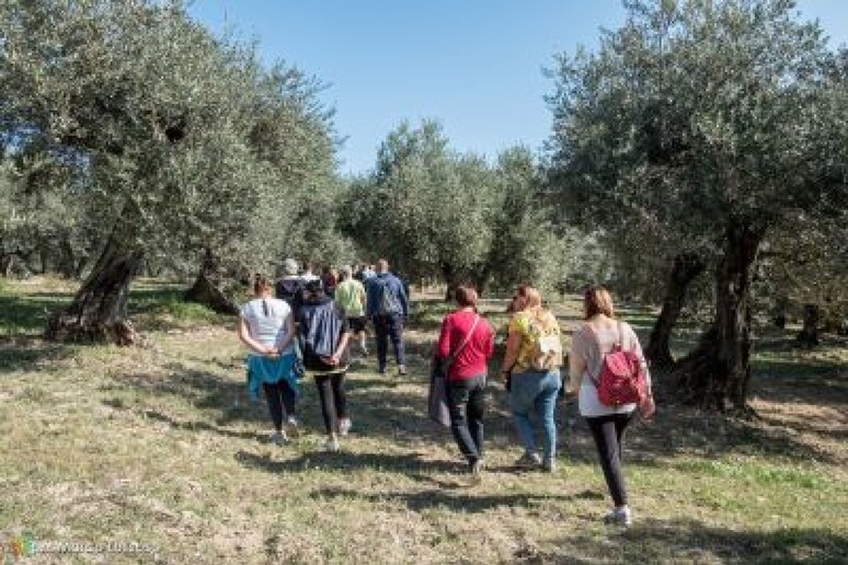 - RIPRODUZIONE RISERVATA