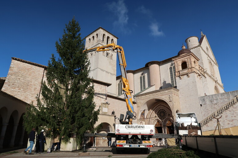 - RIPRODUZIONE RISERVATA