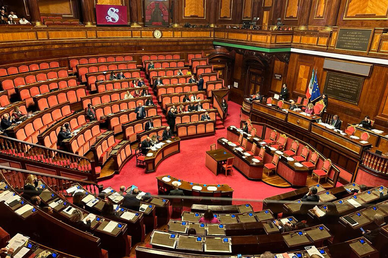 L 'Aula del senato in una foto di archivio -     RIPRODUZIONE RISERVATA
