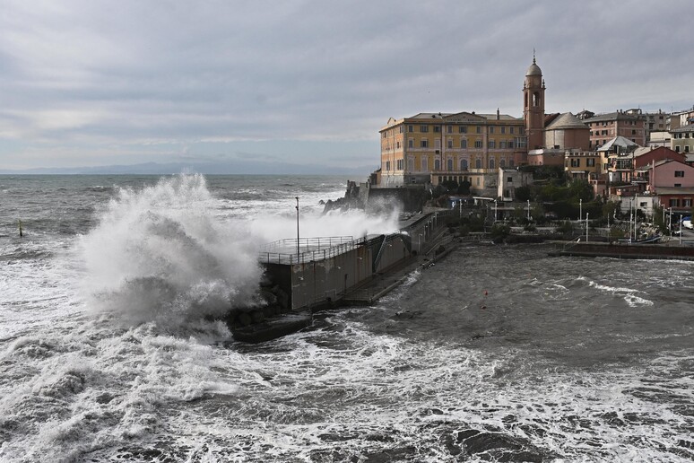 - RIPRODUZIONE RISERVATA