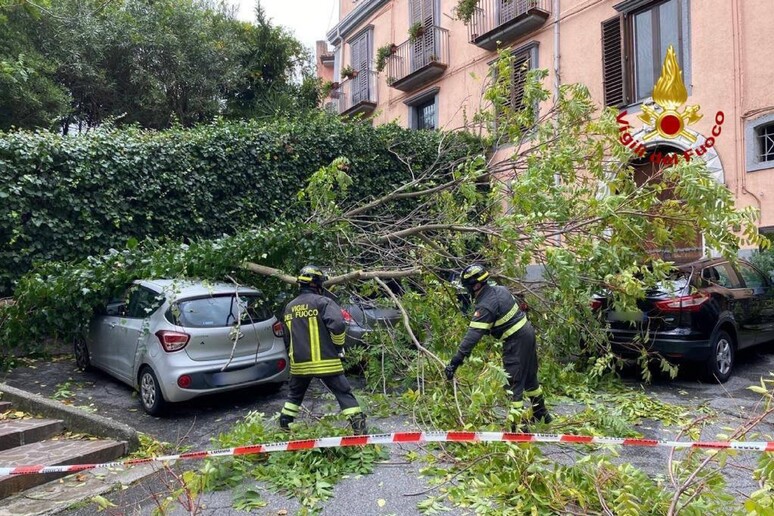 - RIPRODUZIONE RISERVATA