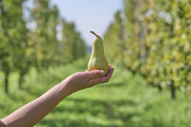 - RIPRODUZIONE RISERVATA