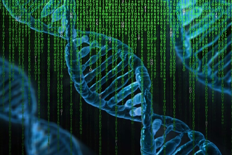 Vent 'anni fa il completamento del Progetto Genoma Umano (fonte: Pixabay) - RIPRODUZIONE RISERVATA
