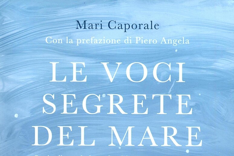Mari Caporale, nel suo romanzo fiaba e ambientalismo - RIPRODUZIONE RISERVATA