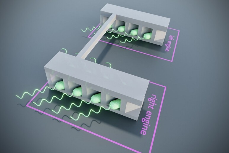 Un esempio di microrobot programmabile con la luce (fonte: Sapienza Università di Roma) - RIPRODUZIONE RISERVATA