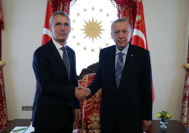 Stoltenberg da Erdogan: 'Ora la Svezia nella Nato' - Notizie 