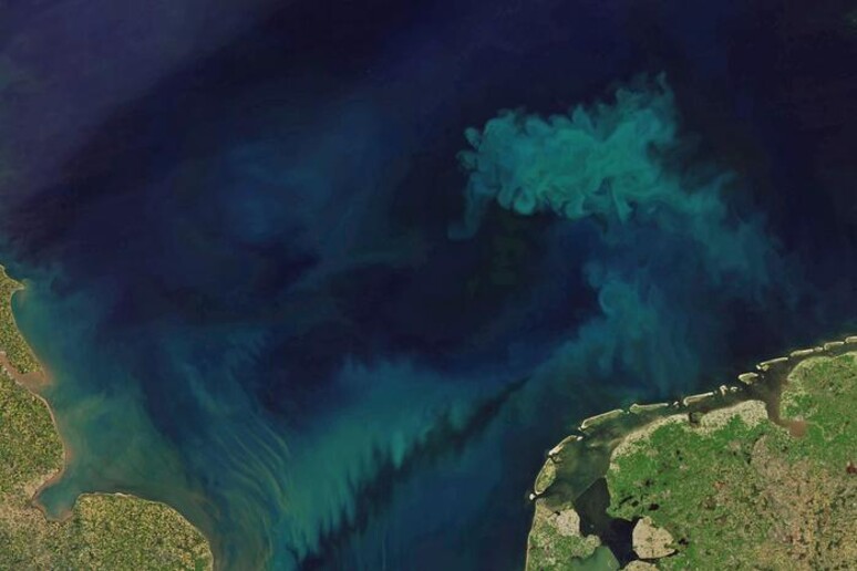 Immagini del satellite Aqua (fonte:NASAJoshua Stevens,Landsat, USGS, MODISLANCE/EOSDIS) - RIPRODUZIONE RISERVATA