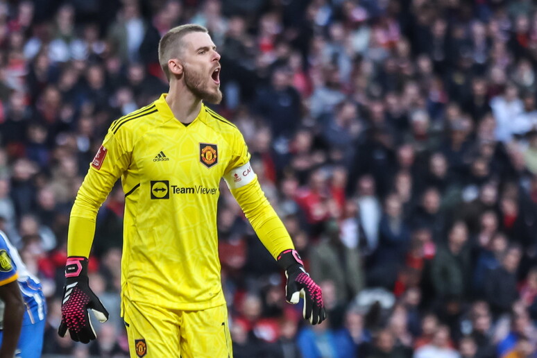 De Gea - Figure 1