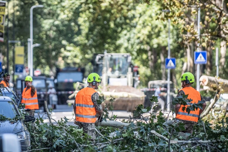 A Milano caduti oltre 400 alberi,continua lavoro di sgombero - RIPRODUZIONE RISERVATA