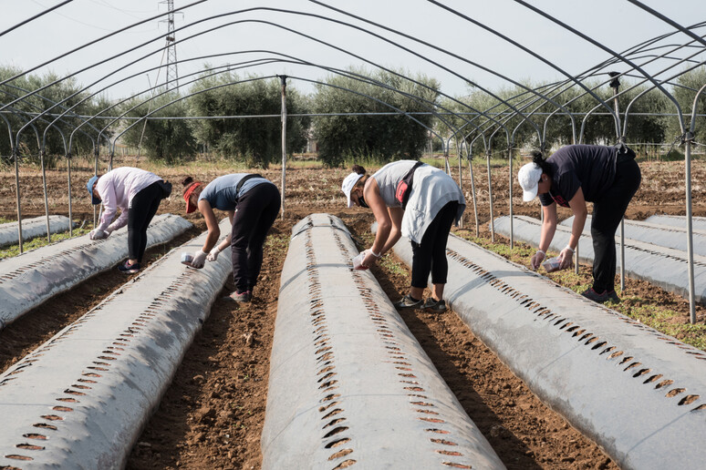 - RIPRODUZIONE RISERVATA