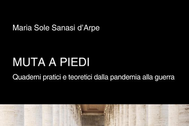 Il saggio di Sanasi d 'Arpe, un diario nella contemporaneit� - RIPRODUZIONE RISERVATA