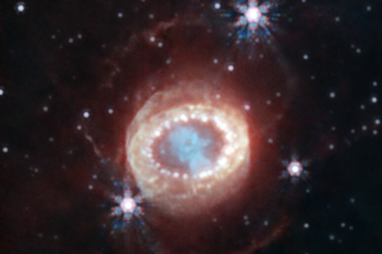 La supernova Sn1987A  vista dal telescopio Webb (fonte: NASA, ESA, CSA, M. Matsuura/Cardiff University, R. Arendt/NASA’s Goddard Spaceflight Center &amp; University of Maryland, Baltimore County, C. Fransson) - RIPRODUZIONE RISERVATA