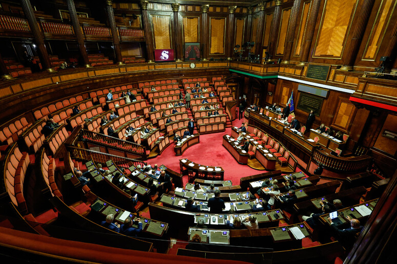 L 'Aula del Senato - RIPRODUZIONE RISERVATA