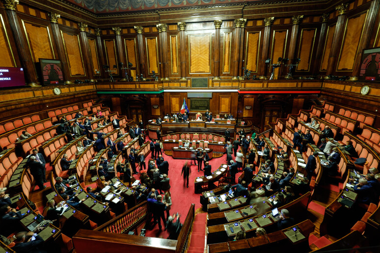 L 'Aula del Senato - RIPRODUZIONE RISERVATA