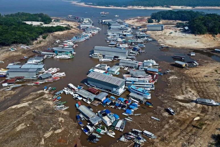 Con i fiumi a secco è boom di pesca illegale in Amazzonia - RIPRODUZIONE RISERVATA