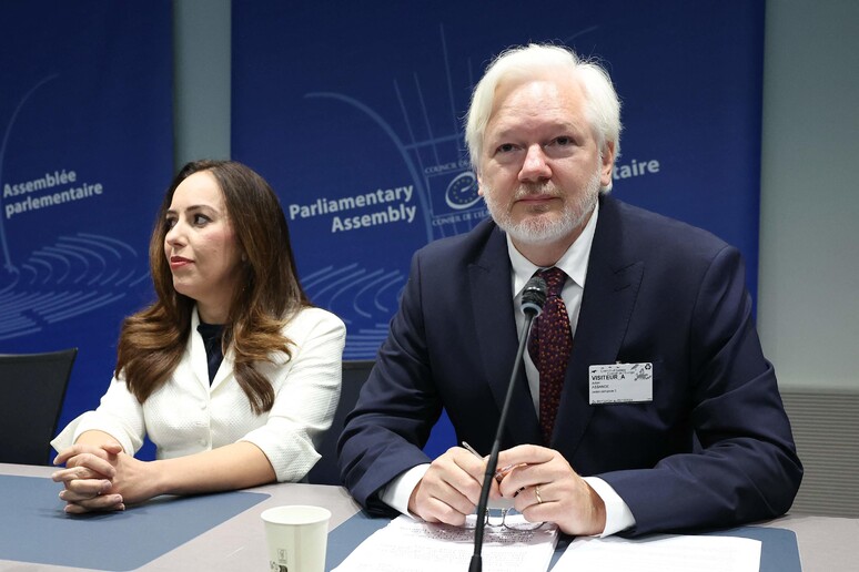 Julian Assange testimoniando al Consiglio d 'Europa © ANSA/AFP