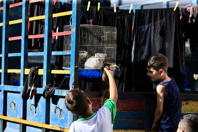 Children play with a cat on a truck used by displaced people in Sidon, Lebanon, 12 October 2024 © ANSA/EPA